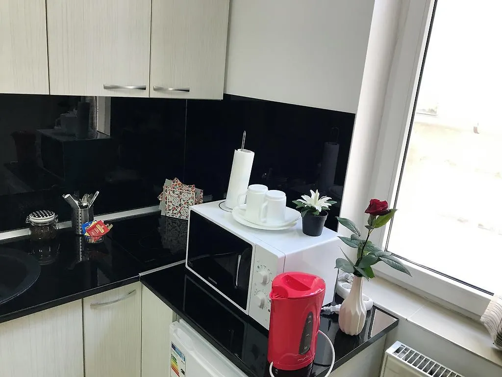 Victoriei Square Apartment Bucharest Romania