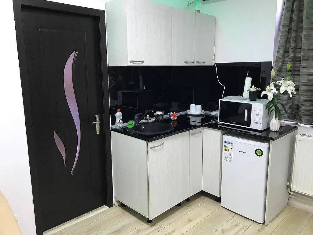 Victoriei Square Apartment Bucharest Romania